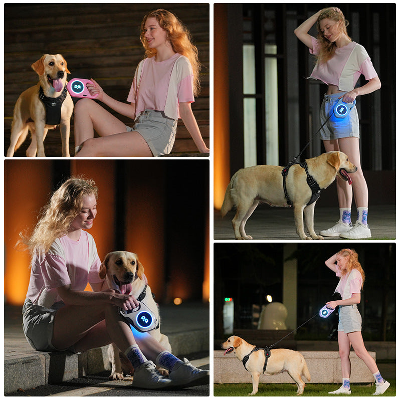 LED-hundkoppel med inrullning